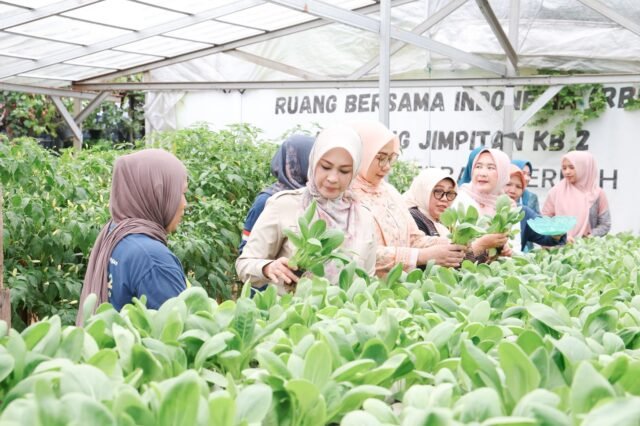 Kampung Jimpitan Jadi Model Ruang Bersama Indonesia di Banten