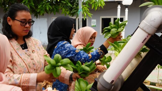 DWP BKN Kembangkan Hidroponik, Manfaatkan Botol Bekas untuk Ketahanan Pangan