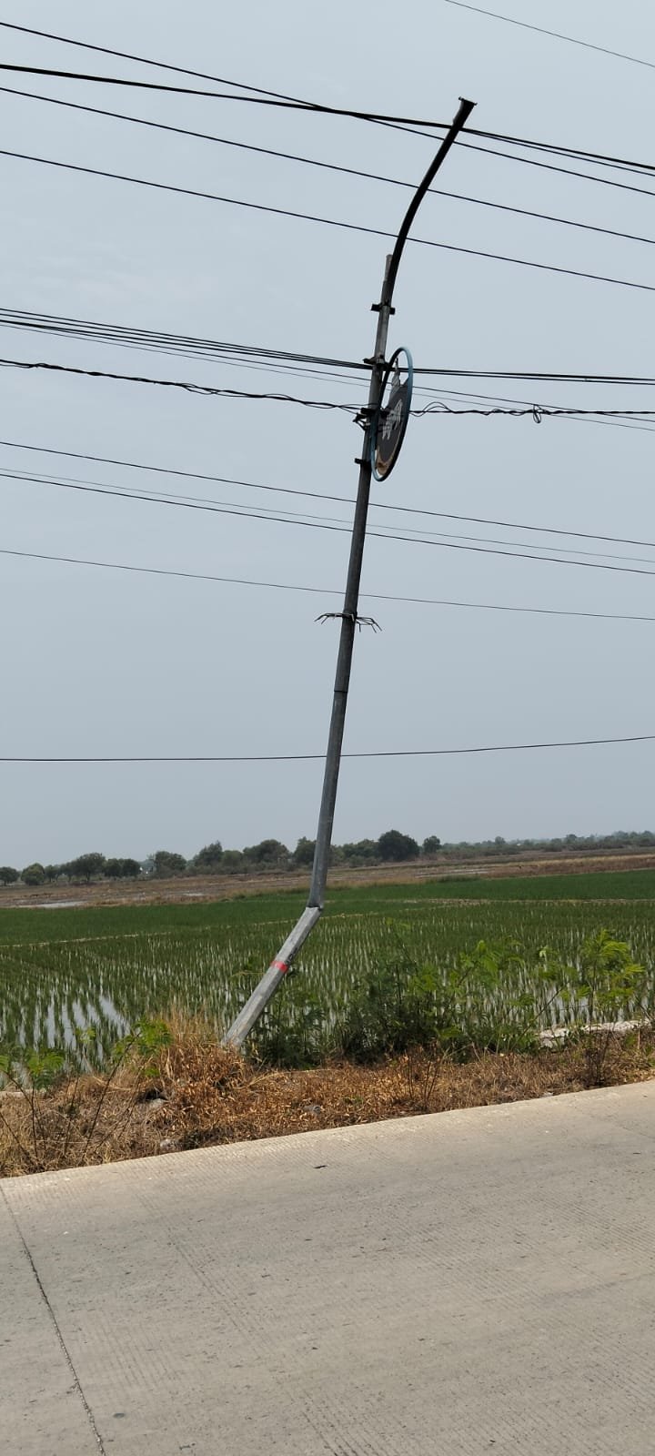 PJU Kasemen–Pontang Banyak Padam, AMPERA Banten Soroti Anggaran Pemeliharaan Dishub PJU Kasemen–Pontang Banyak Padam, AMPERA Banten Soroti Anggaran Pemeliharaan Dishub