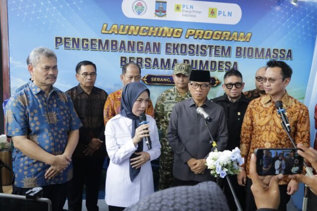 Dandim Marsen Sinaga Dukung Pengembangan Ekosistem Biomassa Berbasis BUMDesa